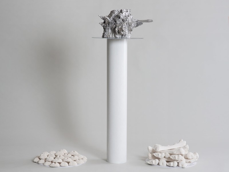 Primordial Chaos, Death & Everything in&nbsp;Between