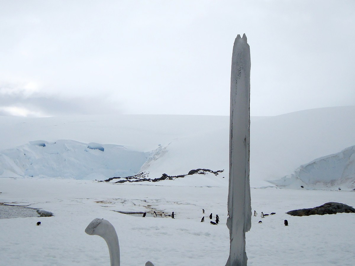 The End of The World –&nbsp;Antarctica