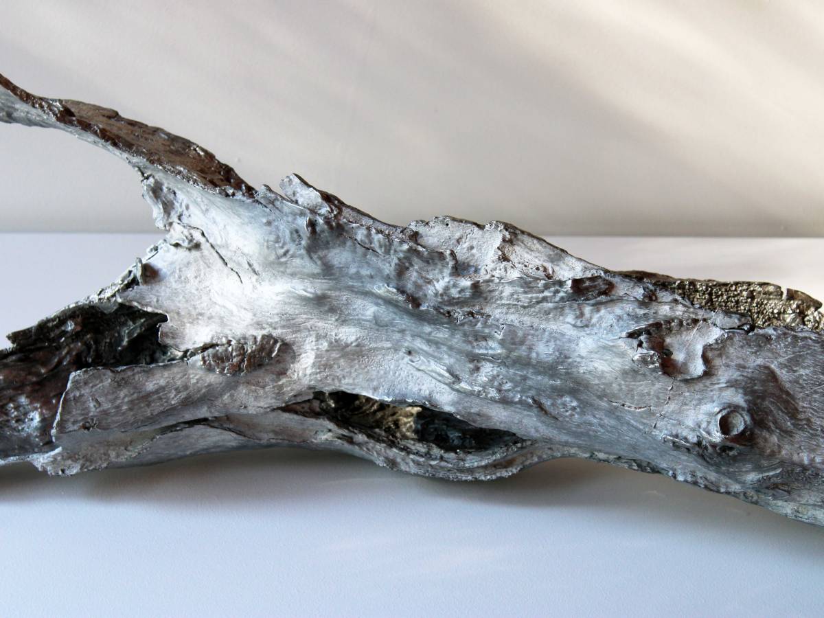 The Presence of&nbsp;Absence