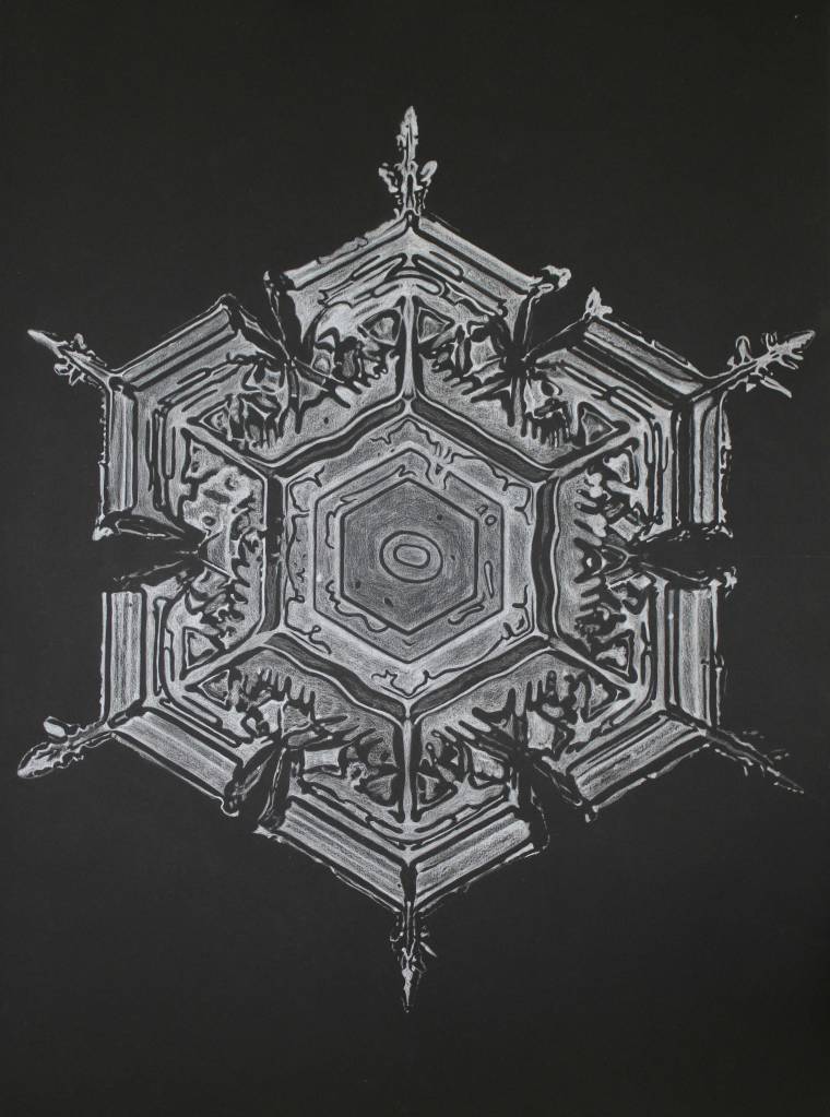 Structure of the Universe in a Snowflake – Amanda Page