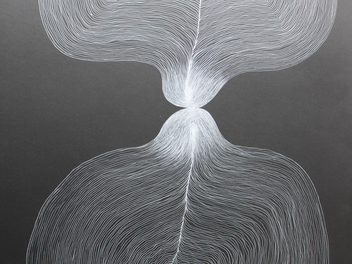 Antarctic Convergence